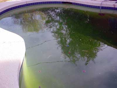 piscine autoportée eau laiteuse