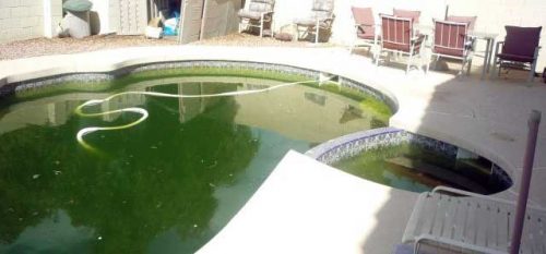 rattrapage-eau-verte-piscine