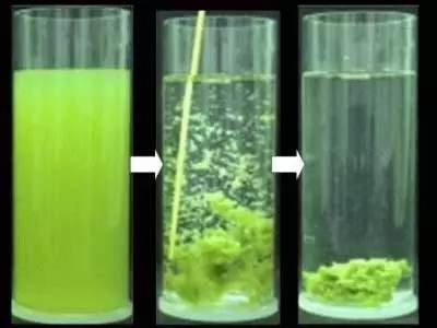 principe-floculation-eau-piscine