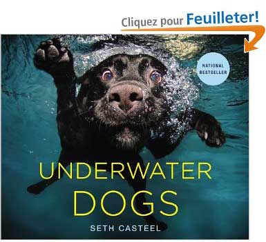 underwater-dogs-seth-casteel