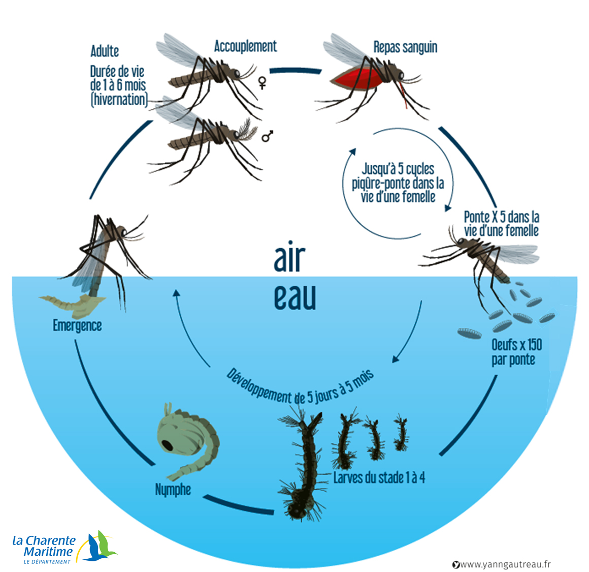 Appareil anti-moustique : lequel choisir ?