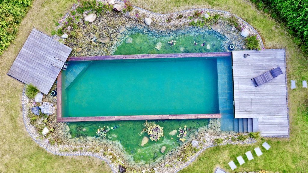 piscine naturelle créée par bionova